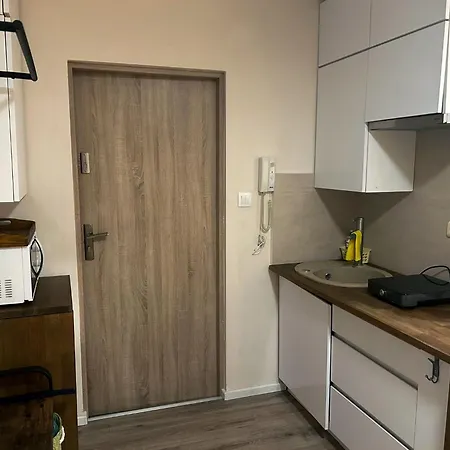 Apartmán Nowoczesne Z Ogrodem I Parkingiem Poznaň